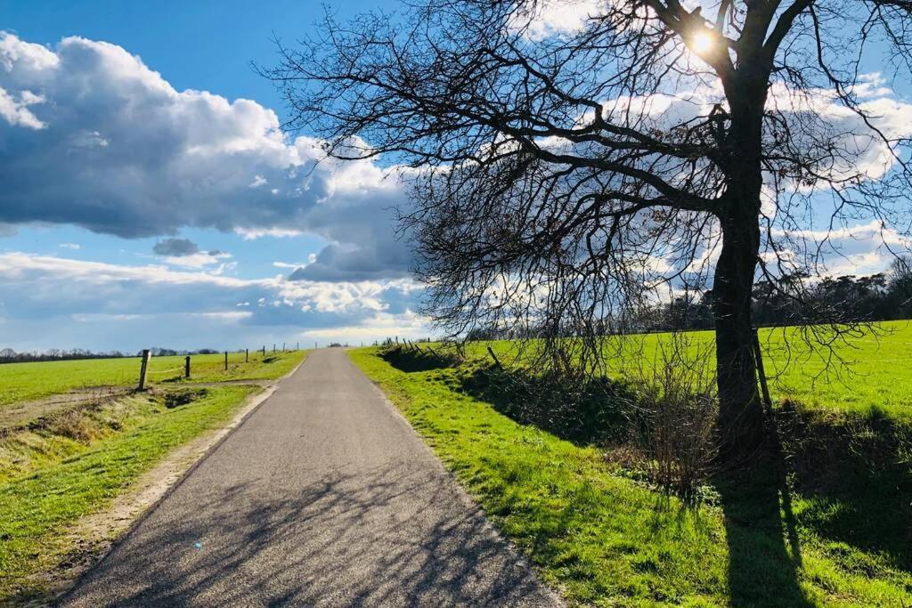 Vakantiebungalow In Bosrijke Omgeving Luttenberg Villa Kültér fotó